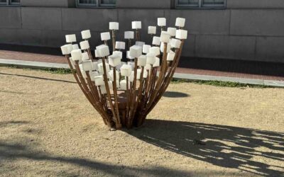 African American Museum Library
