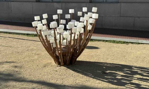 African American Museum Library